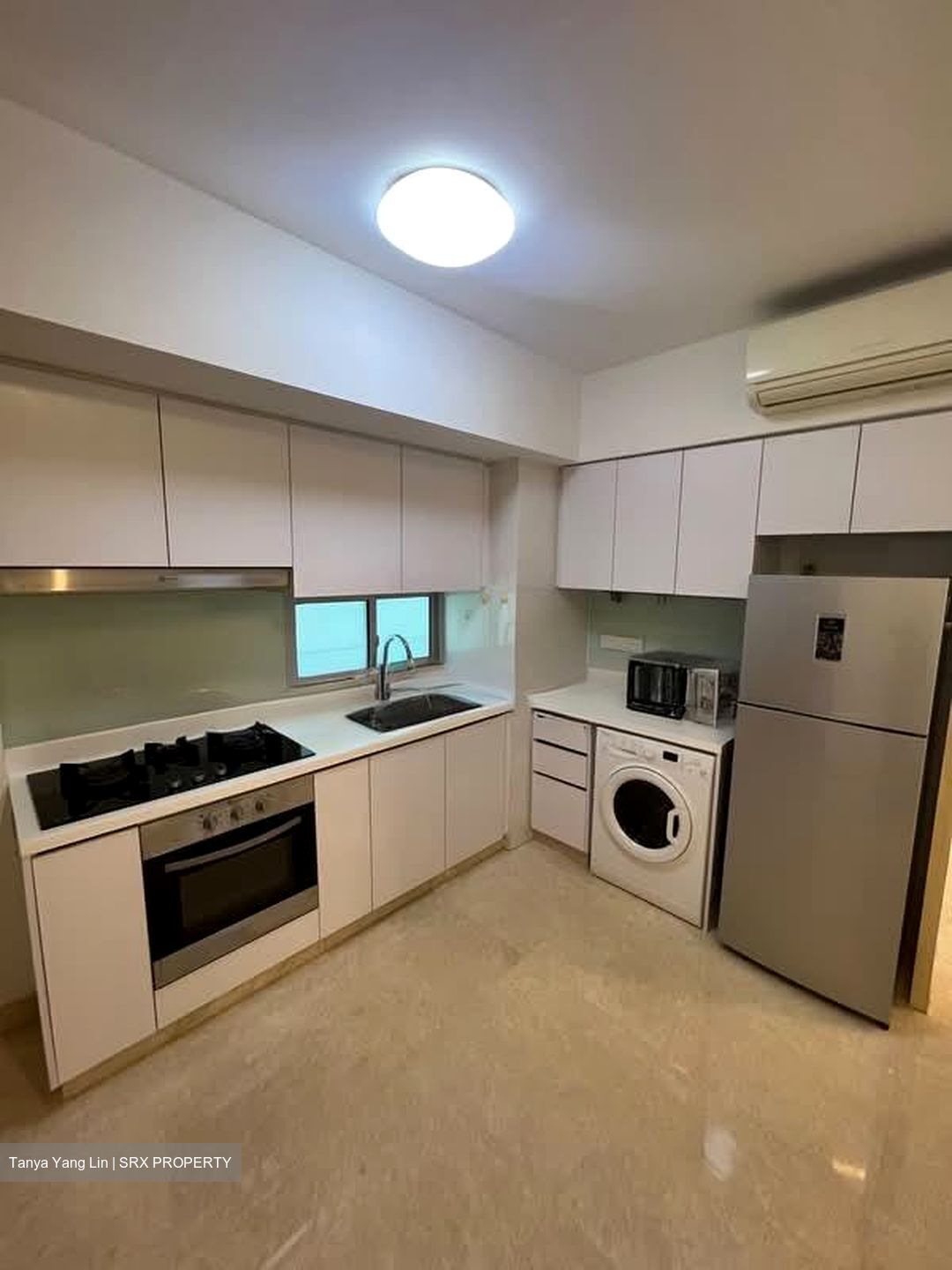 Eight Riversuites (D12), Condominium #592558471